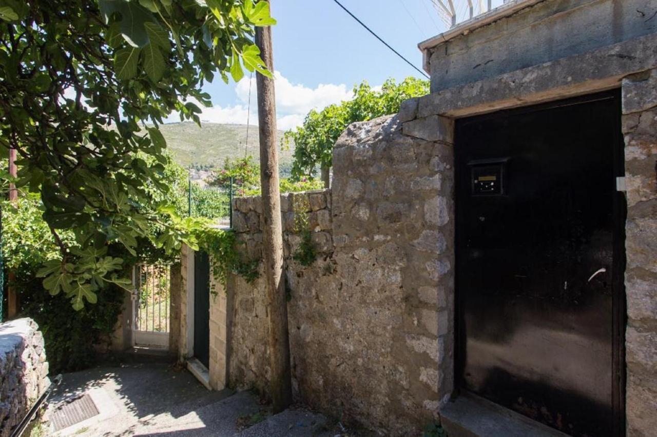 Pejton Dubrovnik